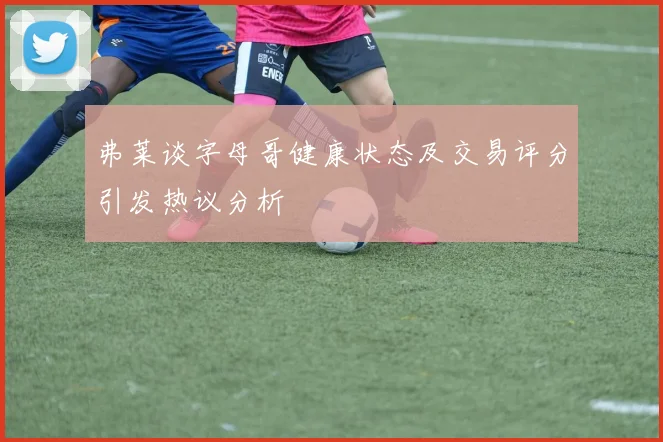 弗莱谈字母哥健康状态及交易评分引发热议分析